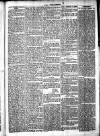 Chelsea News and General Advertiser Saturday 27 April 1872 Page 5