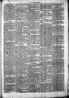 Chelsea News and General Advertiser Saturday 04 May 1872 Page 5