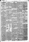 Chelsea News and General Advertiser Saturday 11 May 1872 Page 5
