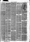 Chelsea News and General Advertiser Saturday 18 May 1872 Page 3