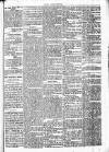 Chelsea News and General Advertiser Saturday 18 May 1872 Page 5