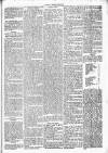 Chelsea News and General Advertiser Saturday 29 June 1872 Page 5