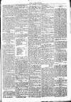 Chelsea News and General Advertiser Saturday 06 July 1872 Page 5