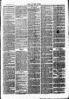 Chelsea News and General Advertiser Saturday 06 July 1872 Page 7