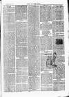 Chelsea News and General Advertiser Saturday 20 July 1872 Page 3