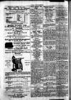 Chelsea News and General Advertiser Saturday 20 July 1872 Page 4