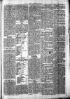 Chelsea News and General Advertiser Saturday 20 July 1872 Page 5