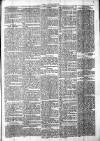 Chelsea News and General Advertiser Saturday 27 July 1872 Page 5