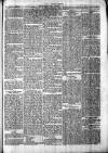 Chelsea News and General Advertiser Saturday 03 August 1872 Page 5