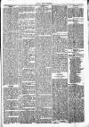 Chelsea News and General Advertiser Saturday 24 August 1872 Page 5