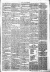Chelsea News and General Advertiser Saturday 07 September 1872 Page 5