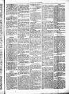 Chelsea News and General Advertiser Saturday 14 September 1872 Page 5