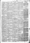 Chelsea News and General Advertiser Saturday 28 September 1872 Page 5