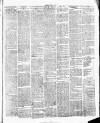 Chelsea News and General Advertiser Saturday 31 July 1875 Page 3