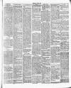 Chelsea News and General Advertiser Saturday 07 August 1875 Page 3