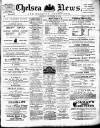 Chelsea News and General Advertiser Saturday 18 September 1875 Page 1