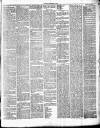 Chelsea News and General Advertiser Saturday 18 September 1875 Page 3