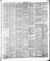 Chelsea News and General Advertiser Saturday 02 October 1875 Page 3