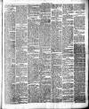 Chelsea News and General Advertiser Saturday 09 October 1875 Page 3