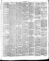 Chelsea News and General Advertiser Saturday 16 October 1875 Page 3