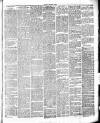 Chelsea News and General Advertiser Saturday 04 December 1875 Page 3