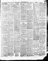 Chelsea News and General Advertiser Saturday 25 December 1875 Page 3