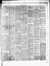 Chelsea News and General Advertiser Saturday 16 September 1876 Page 3