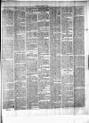 Chelsea News and General Advertiser Saturday 15 January 1876 Page 3