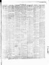 Chelsea News and General Advertiser Saturday 19 February 1876 Page 3