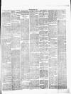 Chelsea News and General Advertiser Saturday 11 March 1876 Page 3