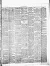 Chelsea News and General Advertiser Saturday 18 March 1876 Page 3
