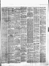 Chelsea News and General Advertiser Saturday 22 April 1876 Page 3
