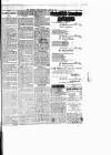 Chelsea News and General Advertiser Saturday 20 May 1876 Page 7