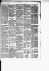 Chelsea News and General Advertiser Saturday 08 July 1876 Page 5