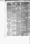 Chelsea News and General Advertiser Saturday 15 July 1876 Page 4
