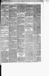 Chelsea News and General Advertiser Saturday 15 July 1876 Page 5