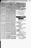 Chelsea News and General Advertiser Saturday 15 July 1876 Page 7