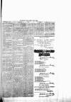 Chelsea News and General Advertiser Saturday 22 July 1876 Page 7
