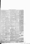 Chelsea News and General Advertiser Saturday 29 July 1876 Page 5