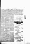 Chelsea News and General Advertiser Saturday 29 July 1876 Page 7