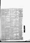 Chelsea News and General Advertiser Saturday 05 August 1876 Page 5