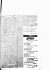 Chelsea News and General Advertiser Saturday 05 August 1876 Page 7