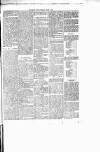 Chelsea News and General Advertiser Saturday 26 August 1876 Page 5