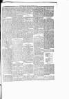 Chelsea News and General Advertiser Saturday 02 September 1876 Page 5