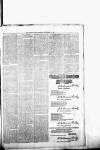 Chelsea News and General Advertiser Saturday 16 September 1876 Page 7