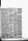 Chelsea News and General Advertiser Saturday 07 October 1876 Page 5