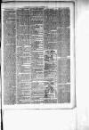 Chelsea News and General Advertiser Saturday 09 December 1876 Page 3