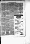 Chelsea News and General Advertiser Saturday 09 December 1876 Page 7