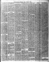 Chelsea News and General Advertiser Saturday 17 February 1877 Page 3