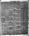 Chelsea News and General Advertiser Saturday 21 July 1877 Page 3